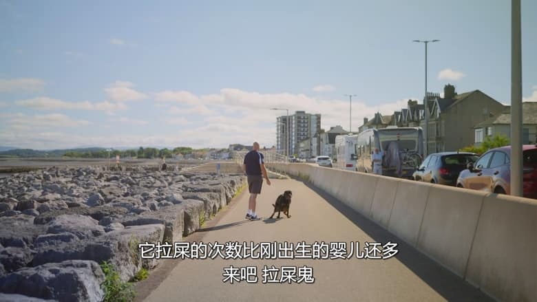 Netflix纪录片《泰森·富里：拳王这一家 At Home with the Furys 2023-2026》第1-2季全19集 英语多国字幕 无水印纯净版 1080P/MKV/26.2G 拳王退役后插图3