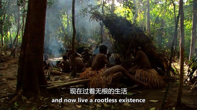 美国纪录片《俾格米人:绿神的痛苦 Pygmies: The Agony of the Green God 2012》英语中英双字 无水印纯净版 1080P/MKV/4.56G 俾格米人插图1 美国纪录片《俾格米人:绿神的痛苦 Pygmies: The Agony of the Green God 2012》英语中英双字 无水印纯净版 1080P/MKV/4.56G 俾格米人插图1