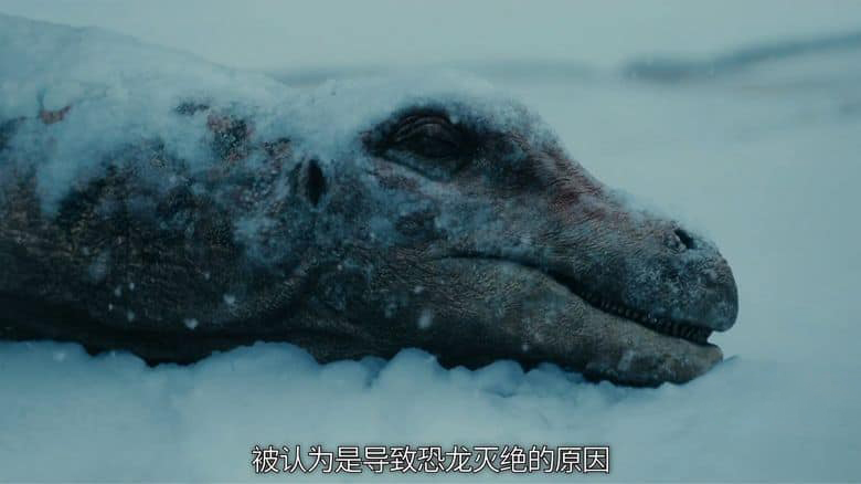 NHK纪录片《恐龙超世界2 Amazing Dinoworld 2 2023》全6集 英语中字 无水印纯净版 1080P/MP4/4.83G 恐龙纪录片插图8 NHK纪录片《恐龙超世界2 Amazing Dinoworld 2 2023》全6集 英语中字 无水印纯净版 1080P/MP4/4.83G 恐龙纪录片插图8