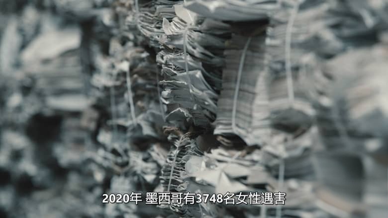 墨西哥纪录片《特别主控官:墨西哥女性命案守护者 The Prosecutor 2026》全3集 西语中英双字 无水印纯净版 1080P/MKV/7.72G 墨西哥女性检察官插图1 墨西哥纪录片《特别主控官:墨西哥女性命案守护者 The Prosecutor 2026》全3集 西语中英双字 无水印纯净版 1080P/MKV/7.72G 墨西哥女性检察官插图1