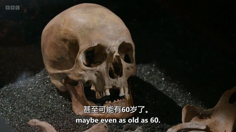 BBC纪录片《幽灵战船:瓦萨号 Vasa: The Ghost Ship 2023》英语中英双字 无水印纯净版 1080P/MKV/1.44G 打捞瓦萨号插图6 BBC纪录片《幽灵战船:瓦萨号 Vasa: The Ghost Ship 2023》英语中英双字 无水印纯净版 1080P/MKV/1.44G 打捞瓦萨号插图6