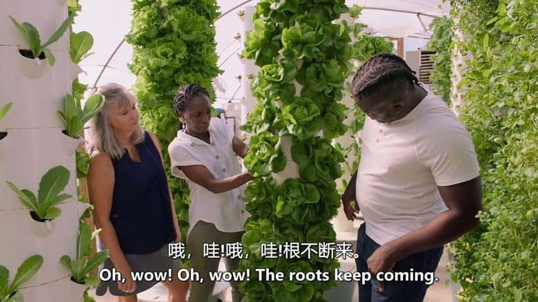 美国纪录片《自家种植 Homegrown 2021》第3-4季全14集 英语中英双字 官方纯净版 1080P/MKV/26.5G 后院农场插图4