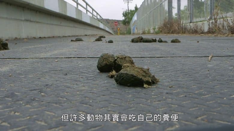 美国纪录片《粪便救世界 Shit Saves The World 2022》英语中英双字 无水印纯净版 1080P/MKV/2.9G 健康农业插图4
