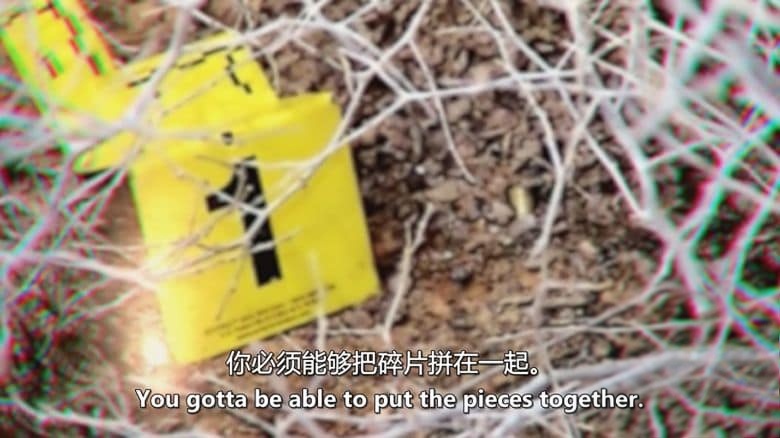 Sky纪录片《未删减的谋杀案 Murder Uncut 2024》全10集 英语中英双字 无水印纯净版 1080P/MKV/8.71G 伪纪录恐怖案件插图2 Sky纪录片《未删减的谋杀案 Murder Uncut 2024》全10集 英语中英双字 无水印纯净版 1080P/MKV/8.71G 伪纪录恐怖案件插图2