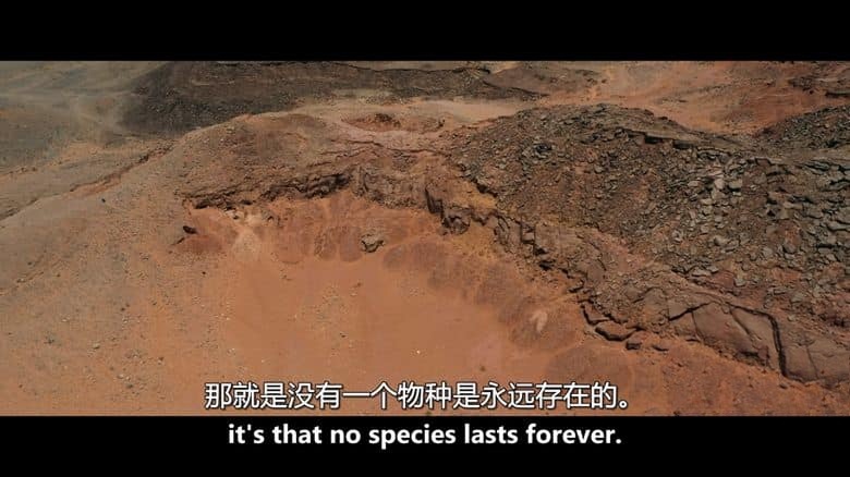 加拿大纪录片《恐龙化石贸易战 The Bones 2024》英语中英双字 无水印纯净版 1080P/MKV/4.54G 恐龙化石贸易插图7