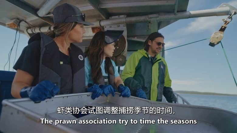 加拿大纪录片《我们的海洋餐桌 Our Ocean Table 2026》全3集 英语中英双字 无水印纯净版 1080P/MKV/2.76G 海洋保护插图3 加拿大纪录片《我们的海洋餐桌 Our Ocean Table 2026》全3集 英语中英双字 无水印纯净版 1080P/MKV/2.76G 海洋保护插图3