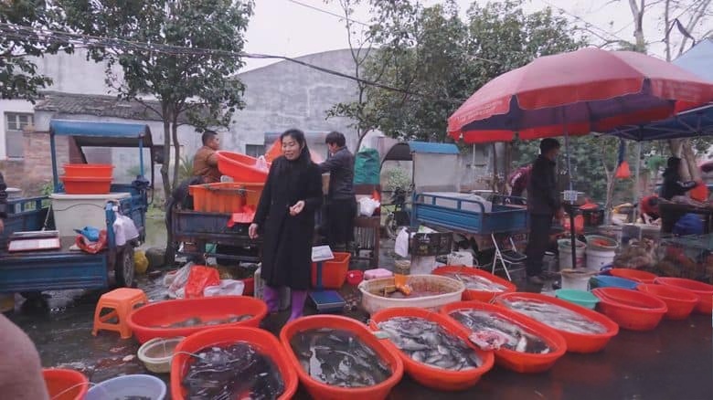 国产纪录片《奶奶的一月 2020》国语中字 4K超清/2160P/MP4/2.46G 寻根之旅插图3 国产纪录片《奶奶的一月 2020》国语中字 4K超清/2160P/MP4/2.46G 寻根之旅插图3