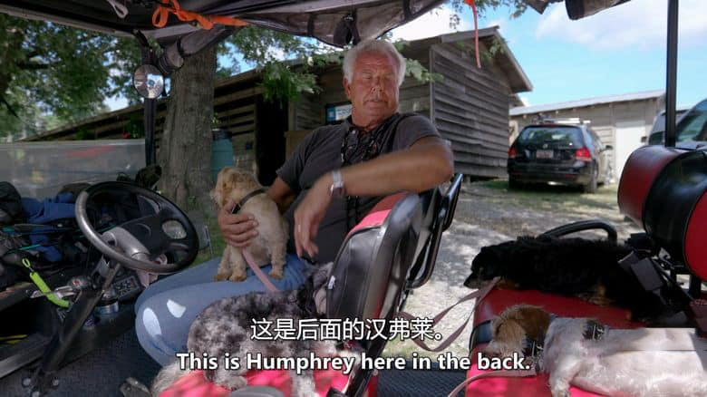 美国纪录片《同一汪檐下 Life in the Doghouse 2018》英语中英双字 无水印纯净版 1080P/MKV/4.91G 拯救狗狗二人组插图4 美国纪录片《同一汪檐下 Life in the Doghouse 2018》英语中英双字 无水印纯净版 1080P/MKV/4.91G 拯救狗狗二人组插图4