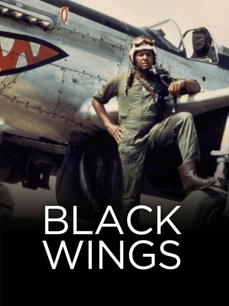 史密森尼频道《黑翼 Black Wings 2012》英语中英双字 无水印纯净版 1080P/MKV/4.36G 二战黑人飞行员插图 史密森尼频道《黑翼 Black Wings 2012》英语中英双字 无水印纯净版 1080P/MKV/4.36G 二战黑人飞行员插图