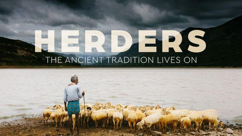 美国纪录片《牧民 Herders 2022》全5集 英语中英双字 无水印纯净版 1080P/MKV/5.99G 牧民生活插图