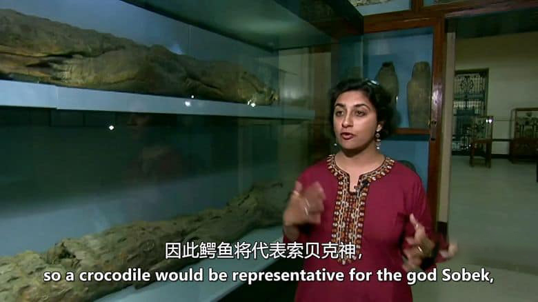 美国纪录片《法老的圣兽 The Sacred Animals of the Pharaohs 2007》英语中英双字 无水印纯净版 1080P/MKV/1.3G 法老的圣兽插图5