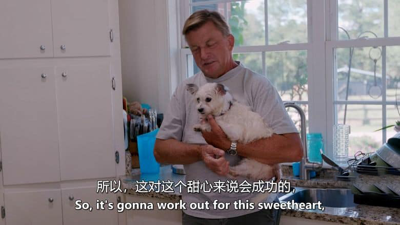 美国纪录片《同一汪檐下 Life in the Doghouse 2018》英语中英双字 无水印纯净版 1080P/MKV/4.91G 拯救狗狗二人组插图1 美国纪录片《同一汪檐下 Life in the Doghouse 2018》英语中英双字 无水印纯净版 1080P/MKV/4.91G 拯救狗狗二人组插图1