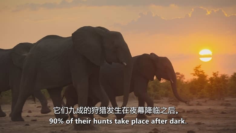 Sky纪录片《月球:大自然的神秘力量 Moon: Nature’s Secret Force 2025》全3集 英语中英双字 无水印纯净版 1080P/MKV/3.31G 月球对地球的影响插图8 Sky纪录片《月球:大自然的神秘力量 Moon: Nature’s Secret Force 2025》全3集 英语中英双字 无水印纯净版 1080P/MKV/3.31G 月球对地球的影响插图8