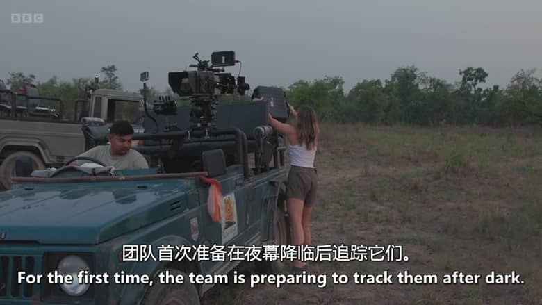 BBC纪录片《虎岛秘境 Tiger Island 2026》全2集 英语中英双字 无水印纯净版 1080P/MKV/5.8G 野生孟加拉虎插图7 BBC纪录片《虎岛秘境 Tiger Island 2026》全2集 英语中英双字 无水印纯净版 1080P/MKV/5.8G 野生孟加拉虎插图7