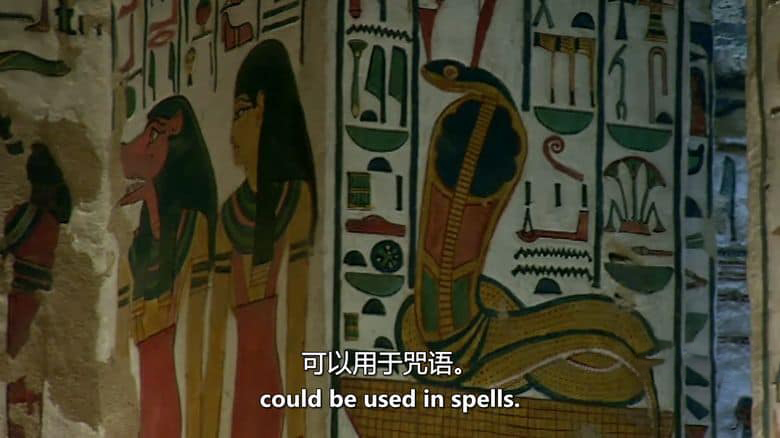 美国纪录片《法老的圣兽 The Sacred Animals of the Pharaohs 2007》英语中英双字 无水印纯净版 1080P/MKV/1.3G 法老的圣兽插图7