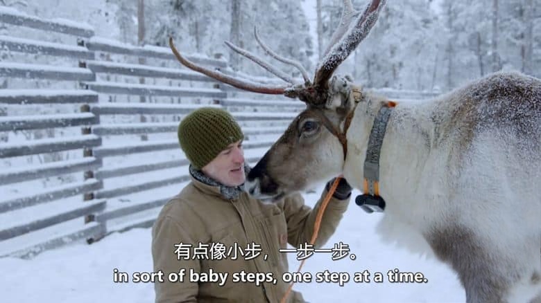 BBC纪录片《驯鹿家族与我 Reindeer Family And Me 2017》英语中英双字 无水印纯净版 1080P/MKV/1.93G 驯鹿家族插图5 BBC纪录片《驯鹿家族与我 Reindeer Family And Me 2017》英语中英双字 无水印纯净版 1080P/MKV/1.93G 驯鹿家族插图5