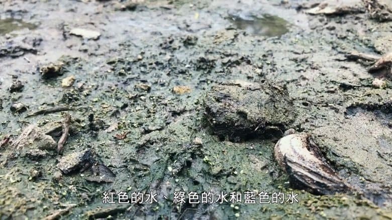 美国纪录片《粪便救世界 Shit Saves The World 2022》英语中英双字 无水印纯净版 1080P/MKV/2.9G 健康农业插图2