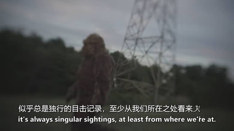 美国纪录片《大脚怪现踪 Sasquatch Unearthed 2025》全3集 英语中英双字 无水印纯净版 1080P/MKV/12.1G 未知生物插图5 美国纪录片《大脚怪现踪 Sasquatch Unearthed 2025》全3集 英语中英双字 无水印纯净版 1080P/MKV/12.1G 未知生物插图5