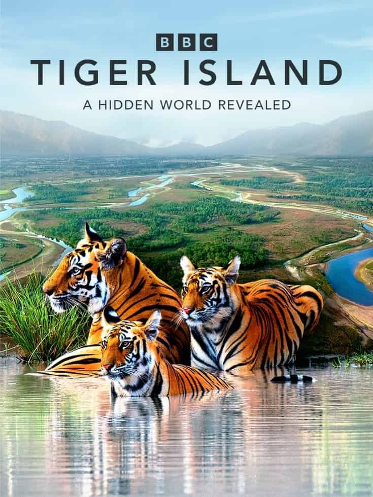 BBC纪录片《虎岛秘境 Tiger Island 2026》全2集 英语中英双字 无水印纯净版 1080P/MKV/5.8G 野生孟加拉虎插图 BBC纪录片《虎岛秘境 Tiger Island 2026》全2集 英语中英双字 无水印纯净版 1080P/MKV/5.8G 野生孟加拉虎插图