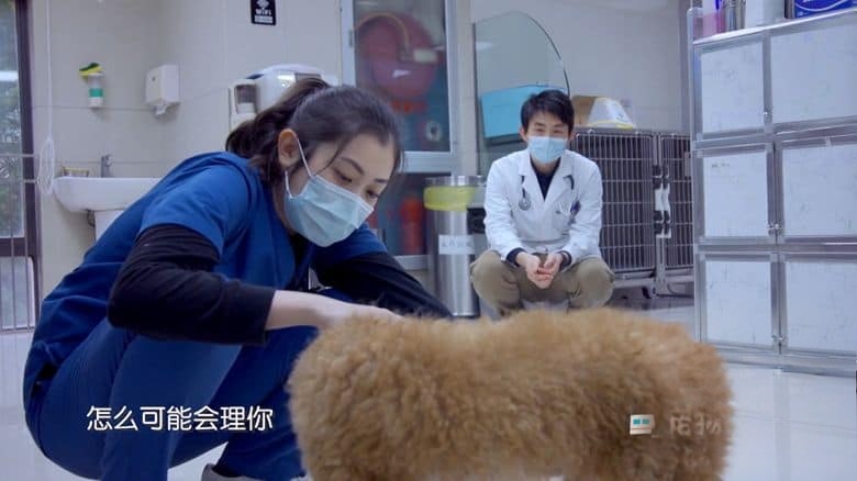 国产纪录片《小主安康－宠物医院 Animal.Hospital 2021》第2-3季全16集 国语中字 1080P/MP4/18.9G 宠物医院插图5