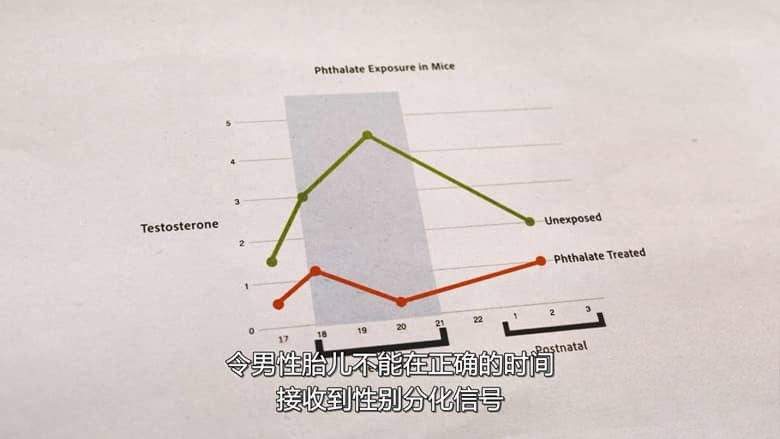 Netflix纪录片《排出毒素：微塑料威胁自救指南 The Plastic Detox 2026》英语多国字幕 无水印纯净版 1080P/MKV/3.5G 塑料威胁插图2