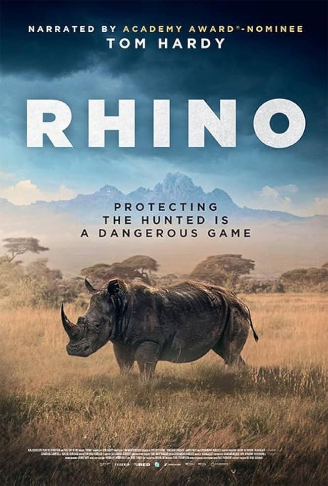 英国纪录片《犀牛 Rhino 2025》英语无字幕 无水印纯净版 1080P/MKV/5.5G 南非偷猎战争插图 英国纪录片《犀牛 Rhino 2025》英语无字幕 无水印纯净版 1080P/MKV/5.5G 南非偷猎战争插图