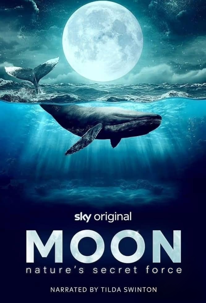 Sky纪录片《月球:大自然的神秘力量 Moon: Nature’s Secret Force 2025》全3集 英语中英双字 无水印纯净版 1080P/MKV/3.31G 月球对地球的影响插图 Sky纪录片《月球:大自然的神秘力量 Moon: Nature’s Secret Force 2025》全3集 英语中英双字 无水印纯净版 1080P/MKV/3.31G 月球对地球的影响插图