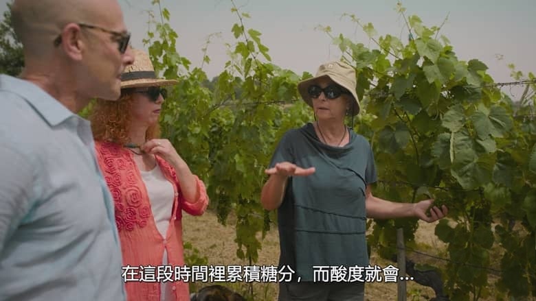 国家地理纪录片《斯坦利·图齐的意大利美食秘境 Tucci In Italy 2026》第1-2季全10集 英语多国字幕 无水印纯净版 1080P/MKV/20.4G 意大利美食插图3 国家地理纪录片《斯坦利·图齐的意大利美食秘境 Tucci In Italy 2026》第1-2季全10集 英语多国字幕 无水印纯净版 1080P/MKV/20.4G 意大利美食插图3