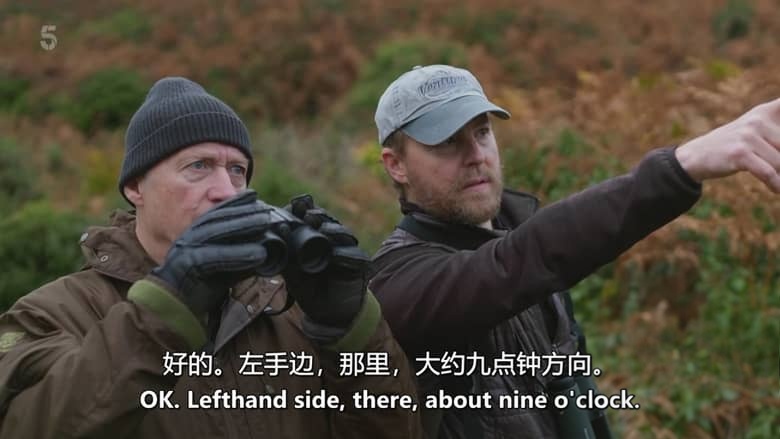 Ch5纪录片《山姆与埃德观鸟记 Sam & Ade Go Birding 2026》全3集 英语中英双字 无水印纯净版 1080P/MKV/8.13G 鸟类纪录片插图4