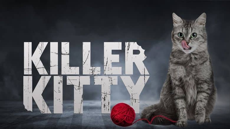 美国纪录片《猫咪杀手 Killer Kitty 2019》英语中英双字 无水印纯净版 1080P/MKV/3.11G 猫咪杀手插图1 美国纪录片《猫咪杀手 Killer Kitty 2019》英语中英双字 无水印纯净版 1080P/MKV/3.11G 猫咪杀手插图1