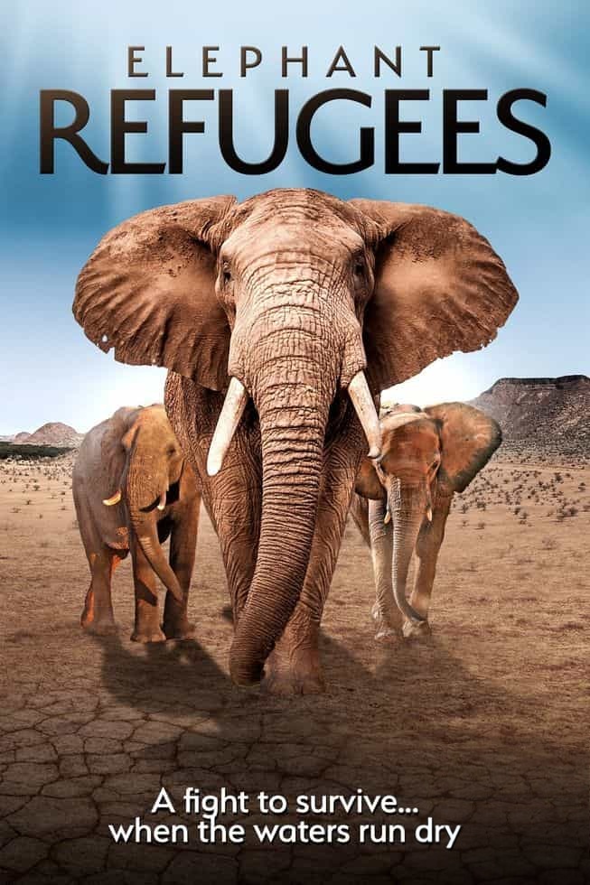 南非纪录片《大象难民 Elephant Refugees 2020》英语中英双字 无水印纯净版 1080P/MKV/5.03G 大象生存危机插图 南非纪录片《大象难民 Elephant Refugees 2020》英语中英双字 无水印纯净版 1080P/MKV/5.03G 大象生存危机插图