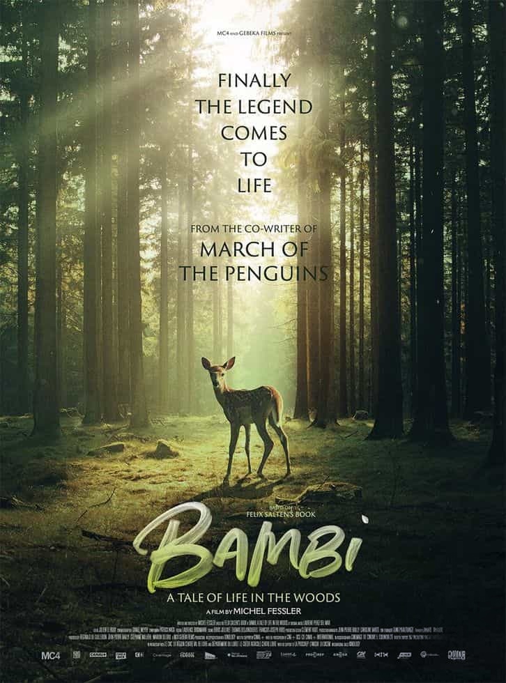法国纪录片《小鹿斑比:森林生活故事 Bambi: A Tale of Life in the Woods 2024》法英语中英双字 无水印纯净版 4K超清/2160P/MKV/3.49G 自然生命之旅插图 法国纪录片《小鹿斑比:森林生活故事 Bambi: A Tale of Life in the Woods 2024》法英语中英双字 无水印纯净版 4K超清/2160P/MKV/3.49G 自然生命之旅插图