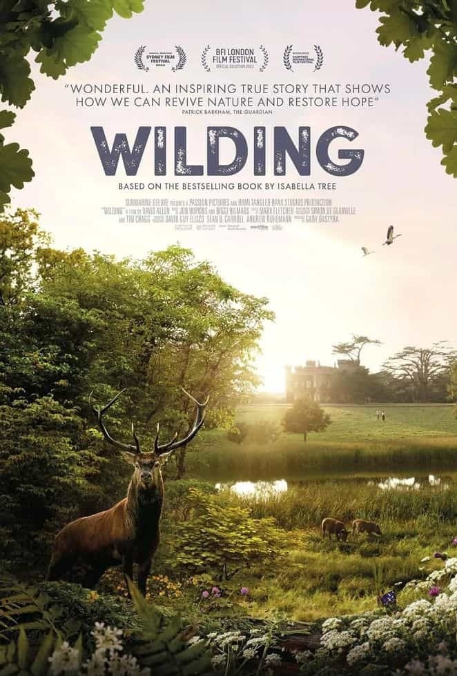英国纪录片《野趣 Wilding 2023》英语无字 无水印纯净版 1080P/MKV/12.9G 自然的治愈插图 英国纪录片《野趣 Wilding 2023》英语无字 无水印纯净版 1080P/MKV/12.9G 自然的治愈插图
