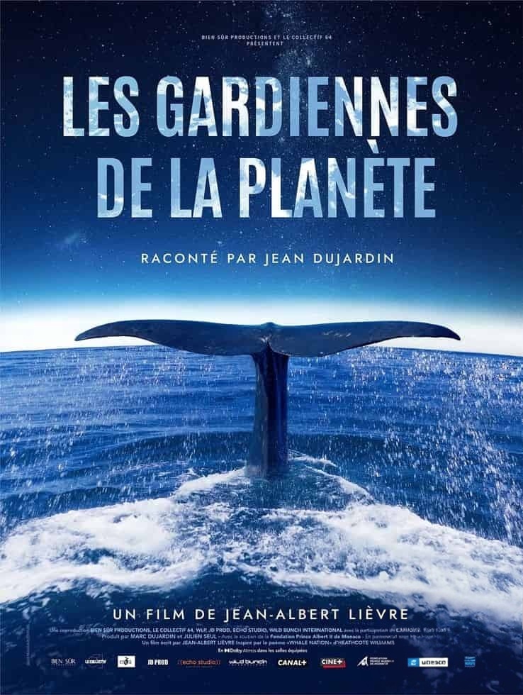 法国纪录片《星球守护者：鲸鱼的呼唤 Les Gardiennes De La Planete 2023》英语中英双字 无水印纯净版 探索鲸类的生命奥秘插图