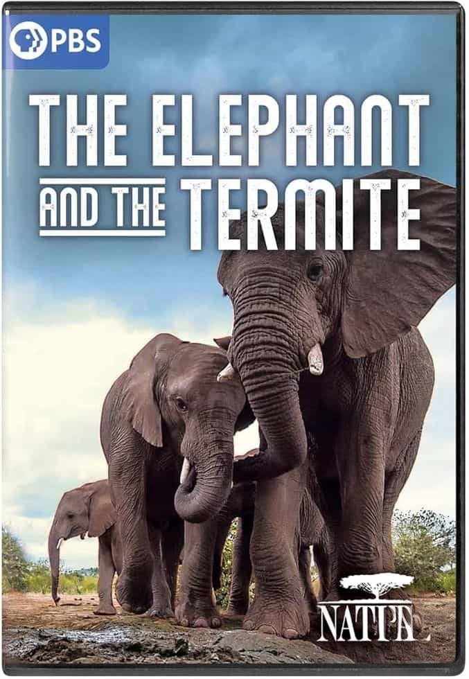 PBS纪录片《大象和白蚁 The Elephant and the Termite 2021》英语中英双字 无水印纯净版 1080P/MKV/3.8G 野生动物聚会场插图 PBS纪录片《大象和白蚁 The Elephant and the Termite 2021》英语中英双字 无水印纯净版 1080P/MKV/3.8G 野生动物聚会场插图