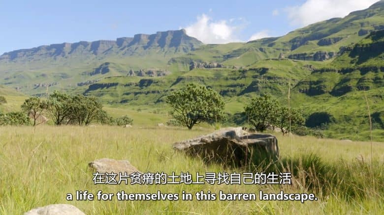 史密森尼频道《非洲隐藏的王国 Africa’s Hidden Kingdoms 2015》第一季全6集 英语中英双字 无水印纯净版 1080P/MKV/16.6G 非洲生态系统插图5 史密森尼频道《非洲隐藏的王国 Africa’s Hidden Kingdoms 2015》第一季全6集 英语中英双字 无水印纯净版 1080P/MKV/16.6G 非洲生态系统插图5