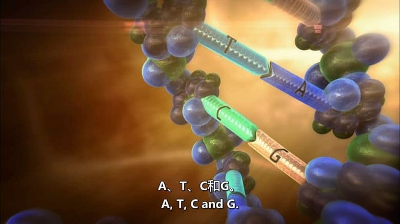 PBS纪录片《破解您的遗传密码 Cracking Your Genetic Code 2012》英语中英双字 无水印纯净版 1080P/MKV/3.02G 基因医学插图3 PBS纪录片《破解您的遗传密码 Cracking Your Genetic Code 2012》英语中英双字 无水印纯净版 1080P/MKV/3.02G 基因医学插图3