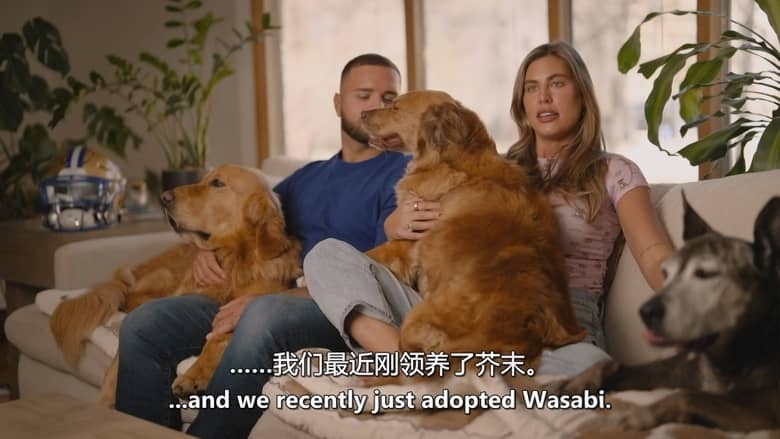 加拿大纪录片《爱狗人士 Must Love Dogs 2026》第一季全10集 英语中英双字 无水印纯净版 1080P/MKV/9.39G 治愈系宠物插图1 加拿大纪录片《爱狗人士 Must Love Dogs 2026》第一季全10集 英语中英双字 无水印纯净版 1080P/MKV/9.39G 治愈系宠物插图1