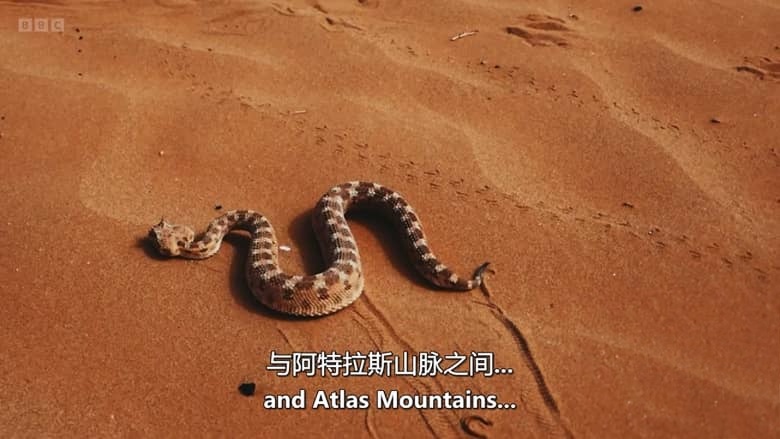 BBC纪录片《名人版环游世界竞赛 Celebrity Race Across the World 2023-2025》第1-3季全18集 英语中英双字 无水印纯净版 1080P/MKV/44.8G 旅行竞赛插图2