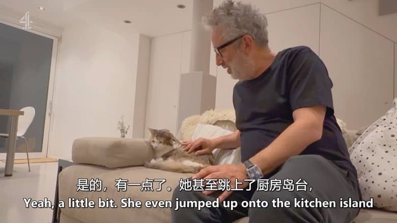 英国纪录片《大卫·巴迪尔:猫奴日记 David Baddiel: Cat Man 2026》全3集 英语中英双字 无水印纯净版 资深猫奴插图6 英国纪录片《大卫·巴迪尔:猫奴日记 David Baddiel: Cat Man 2026》全3集 英语中英双字 无水印纯净版 资深猫奴插图6