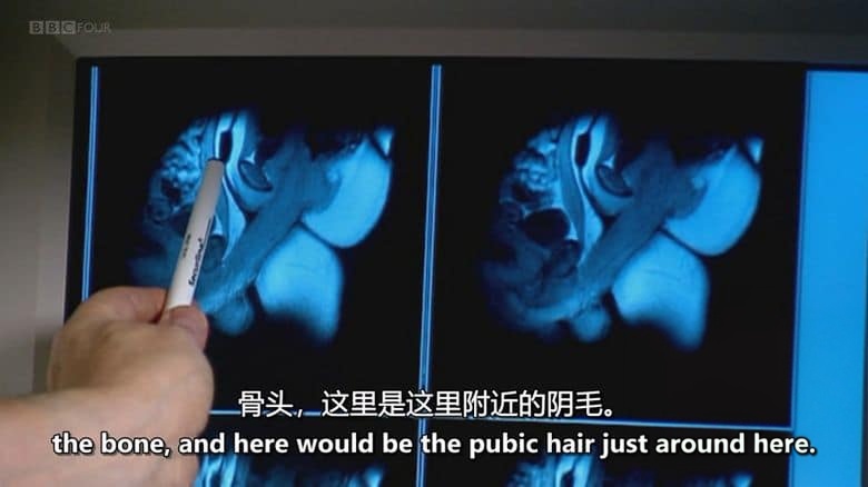 BBC纪录片《性:指南 Sex: A Horizon Guide 2013》英语中英双字 720P/MKV/1.36G 解决性问题插图5 BBC纪录片《性:指南 Sex: A Horizon Guide 2013》英语中英双字 720P/MKV/1.36G 解决性问题插图5