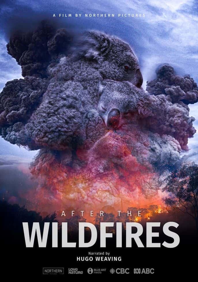 ABC纪录片《野火之后 After the Wildfires 2020》英语中英双字 无水印纯净版 1080P/MKV/859M 澳洲野火插图 ABC纪录片《野火之后 After the Wildfires 2020》英语中英双字 无水印纯净版 1080P/MKV/859M 澳洲野火插图