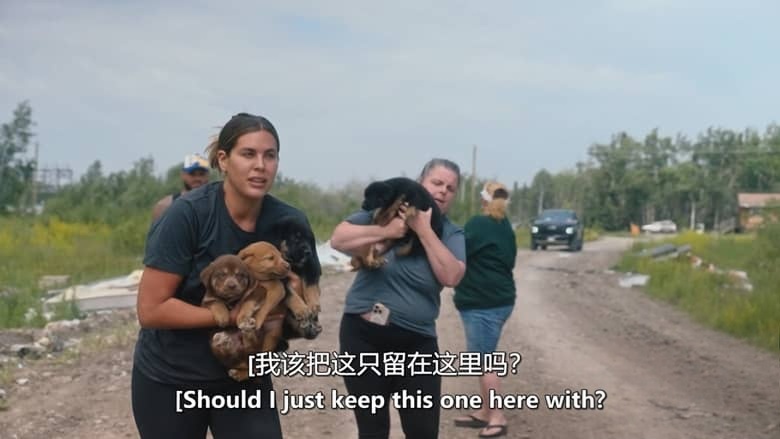 加拿大纪录片《爱狗人士 Must Love Dogs 2026》第一季全10集 英语中英双字 无水印纯净版 1080P/MKV/9.39G 治愈系宠物插图4 加拿大纪录片《爱狗人士 Must Love Dogs 2026》第一季全10集 英语中英双字 无水印纯净版 1080P/MKV/9.39G 治愈系宠物插图4