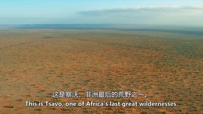 PBS纪录片《大象和白蚁 The Elephant and the Termite 2021》英语中英双字 无水印纯净版 1080P/MKV/3.8G 野生动物聚会场插图1 PBS纪录片《大象和白蚁 The Elephant and the Termite 2021》英语中英双字 无水印纯净版 1080P/MKV/3.8G 野生动物聚会场插图1