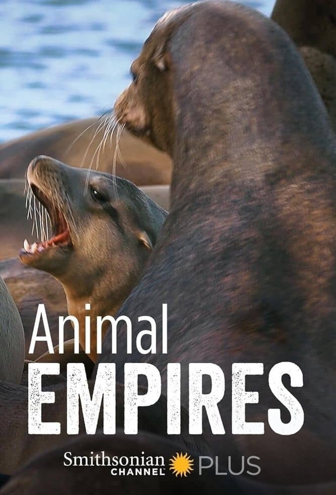 史密森尼频道《动物帝国 Animal Empire 2016》第一季全6集 英语中英双字 无水印纯净版 动物生存故事插图