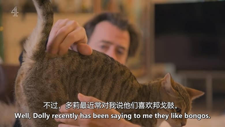 英国纪录片《大卫·巴迪尔:猫奴日记 David Baddiel: Cat Man 2026》全3集 英语中英双字 无水印纯净版 资深猫奴插图5 英国纪录片《大卫·巴迪尔:猫奴日记 David Baddiel: Cat Man 2026》全3集 英语中英双字 无水印纯净版 资深猫奴插图5