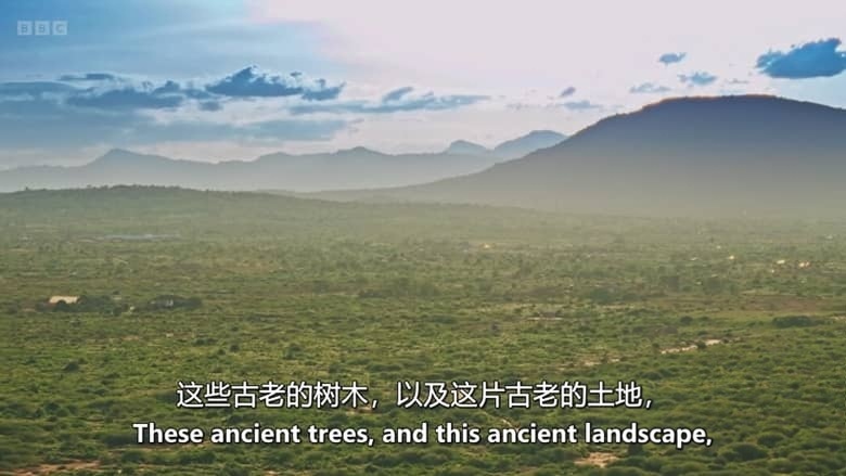 BBC纪录片《帝国史：大卫·奥卢索加解读 Empire with David Olusoga 2026》全3集 英语中英双字 无水印纯净版 大英帝国历史插图6