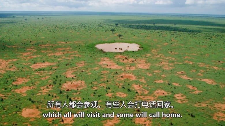 PBS纪录片《大象和白蚁 The Elephant and the Termite 2021》英语中英双字 无水印纯净版 1080P/MKV/3.8G 野生动物聚会场插图4 PBS纪录片《大象和白蚁 The Elephant and the Termite 2021》英语中英双字 无水印纯净版 1080P/MKV/3.8G 野生动物聚会场插图4