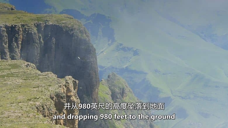 史密森尼频道《非洲隐藏的王国 Africa’s Hidden Kingdoms 2015》第一季全6集 英语中英双字 无水印纯净版 1080P/MKV/16.6G 非洲生态系统插图4 史密森尼频道《非洲隐藏的王国 Africa’s Hidden Kingdoms 2015》第一季全6集 英语中英双字 无水印纯净版 1080P/MKV/16.6G 非洲生态系统插图4