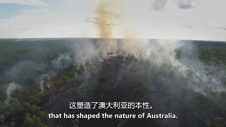 ABC纪录片《野火之后 After the Wildfires 2020》英语中英双字 无水印纯净版 1080P/MKV/859M 澳洲野火插图2 ABC纪录片《野火之后 After the Wildfires 2020》英语中英双字 无水印纯净版 1080P/MKV/859M 澳洲野火插图2